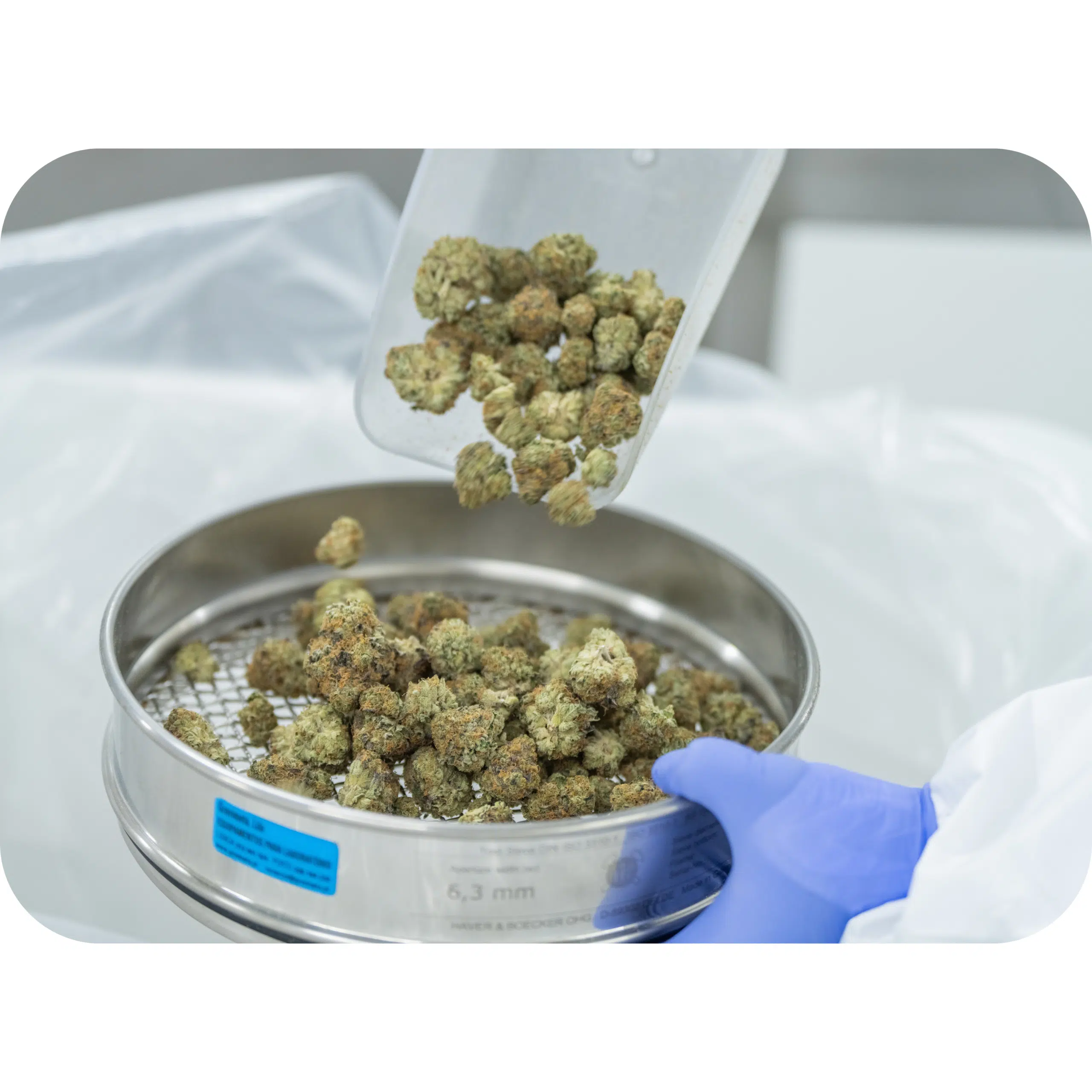 Facilities website (7)