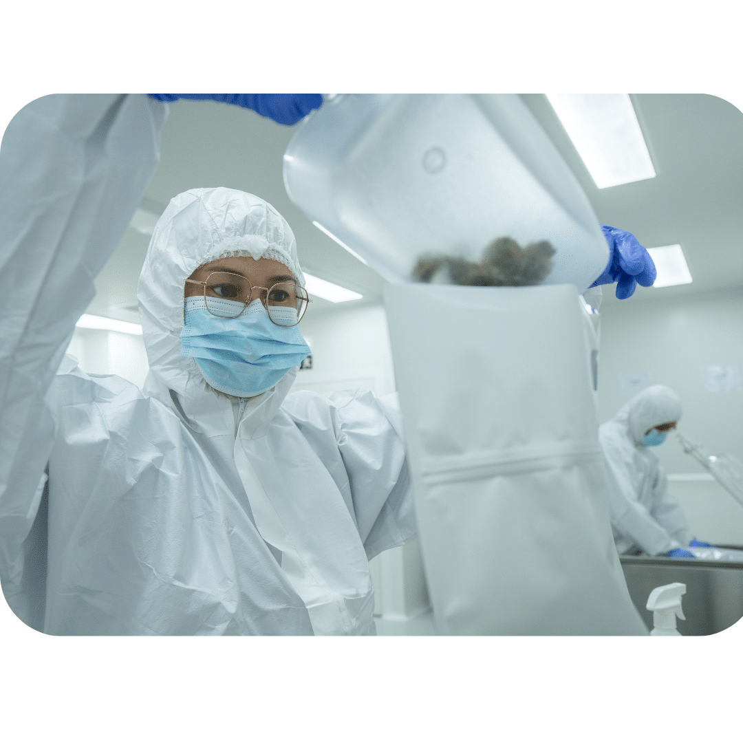 How To Trade Cannabis Flower Globally: A Story Of Capital