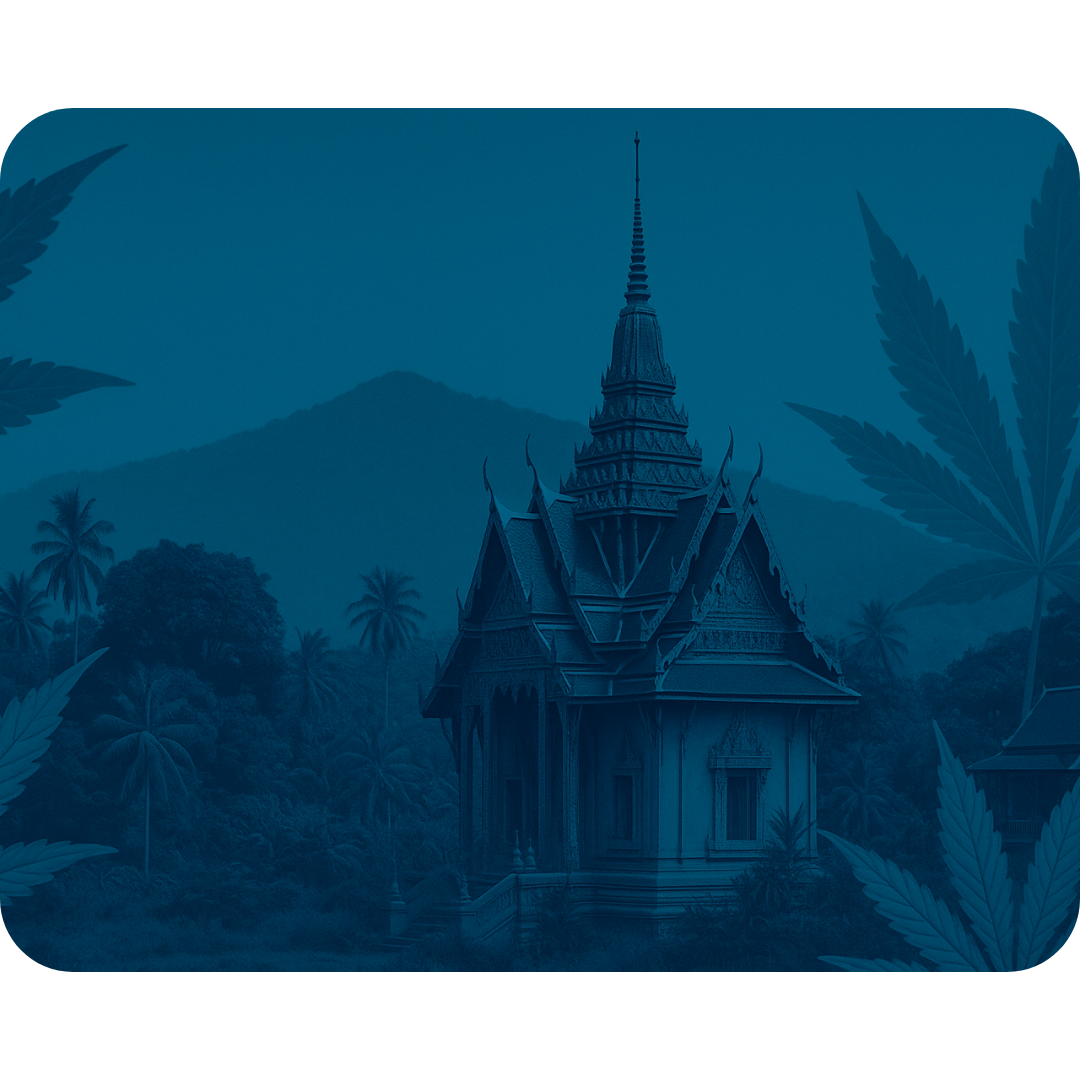 Thailand: The Cannabis Capital of Asia and Beyond